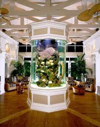 Aquarium Ideen 108 Designs Zum Integrieren In Der Wohnung Design Fur Zuhause Aquarien Und Aquarium