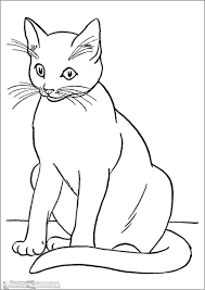 Gambar kelinci hitam putih untuk latihan mewarnai mudah bagi anak tk atau sd. Sketsa Gambar Kucing Radea