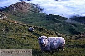 Vezi toate locurile de munca (joburile) in olanda in acest moment. Cele Mai Bune 10 Locuri Pentru A TrÄƒi In Noua ZeelandÄƒ 2021