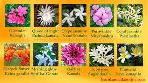This page contains a list of kannada words and expressions as well as other lessons in grammar topics and common expressions in kannada. Flower Names In Kannada Part2