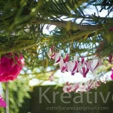 Estrella Aranda (esaranda)