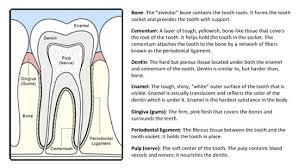 Teeth For Life Cupertino Ortho Care And Kids Dentistry