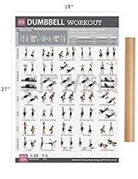Dumbbell Exercises Workout Poster Now Laminated Strength