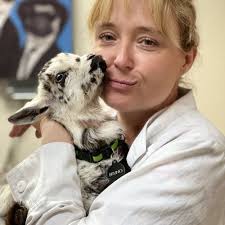 THE BEST 10 VETERINARIANS in CIUDAD JUÁREZ, CHIHUAHUA, MEXICO