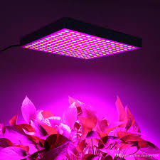 They claim a fixture's spectral quality is secondary, and warn against companies that claim their spectrum is specifically tuned for the benefit of plants. An Overview On Grow Lights For Indoor Plants And Indoor Gardening