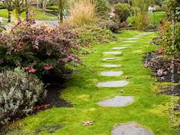 These front yard landscaping ideas, like landscape lighting, will boost your home's curb appeal. Front Yard Gardens With No Grass