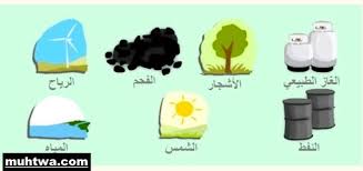 قناني البلاستك الفارغة تهدد البيئة. Ù…ÙˆØ§Ø±Ø¯ Ø§Ù„Ø¨ÙŠØ¦Ø© ÙˆØ­Ù…Ø§ÙŠØªÙ‡Ø§ Interactive Worksheet By Nada Alzain Wizer Me