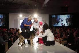 Together with petsmart charities, we help save over 1,500 pets every day through adoption. Tampa Petsmart Associates Make A Dream Come True For Young Girl Battling Cancer Heart Of Petsmart