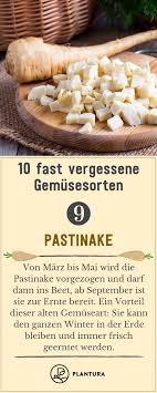 10 Fast Vergessene Gemusesorten Plantura Rezepte Mit Obst Lebensmittel Essen Pastinake
