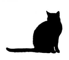 Cat Silhouette Sitting Clipart Free Stock Photo Public Domain Pictures