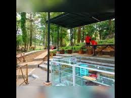 Siapa bilang berkunjung ke hutan itu berbahaya dan menakutkan? Woodland Ragasakti Objek Wisata Alam Desa Setianegara Kab Kuningan Jabar Youtube