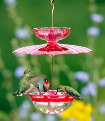 Duncraft Com Aspects Hummblossom Feeder Set Humming Bird Feeders Bird Feeders Diy Bird Feeder