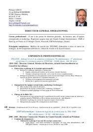 Curriculum Vitae Francais Curriculum Vitae Curriculum Vitae Template Cv Design Template