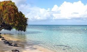 Roaming la tua offerta iliad a 7,99€/mese è valida anche in europa!. Fiori Mare E Colori Le Perle Di Martinica La Piccola Francia Nei Caraibi La Repubblica
