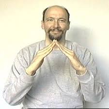 If you really want to immerse yourself in asl, a great option is signily. House American Sign Language Asl