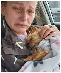 For Bella, and for all of us with “paw-shaped” holes in our hearts. Such a  beautiful tribute