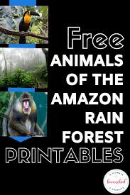 Free Animals Of The Amazon Rain Forest Printables Homeschool Giveaways In 2020 Rainforest Animals Amazon Rainforest Rainforest