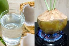 Air kelapa dan khasiatnya memang. Cuma Rutin Minum Rebusan Air Kelapa Setiap Hari Ternyata Bisa Hindari Penyakit Mengerikan Ini Pada Tubuh Simak Penjelasannya Semua Halaman Sajian Sedap