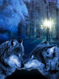 Search, discover and share your favorite wolf gifs. 1296188 Gif 240 320 Magical Wolf Mystical Wolf Wolf Wallpaper