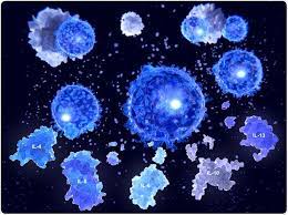 Consultez votre médecin en cas de. Avances Dans La Demande De Reglement Pour Des Maladies Auto Immune