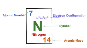 نتیجه جستجوی لغت [nitrogen] در گوگل