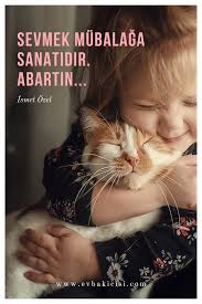 ozgu guzel sozler hayvan evcil hayvanlar hayvanlar