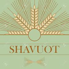 Ubicándose las flores más jóvenes en el ápice del mismo. Espigas Decorativas Para Crear Composiciones De Diseno La Fiesta Judia De Shavuot Simbolos De La Cosecha Y La Agricultura Las Espigas Doradas De Trigo Decoraran Su Producto Ilustraciones Vectoriales Clip Art Vectorizado