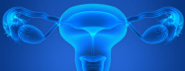 The Menstrual Cycle Patient Education Ucsf Health