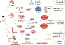 Image result for Exercise in COPD