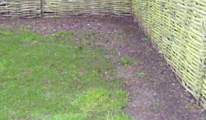 Dealing With Leather Jackets Lawntech Care Guide