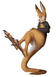 Renegade Kangaroo Gift doodle by Maskedhusky -- Fur Affinity [dot] net