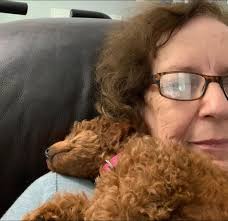 Hi all! I just wanted to introduce myself and share a photo I took