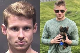 Arlington man accused of throwing dogs off balcony could avoid additional  jail time