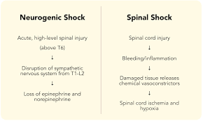 Neurogenic Shock vs. Spinal Shock | ACLS Certification Association