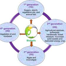 Pros And Cons Of Biofuels Download Scientific Diagram