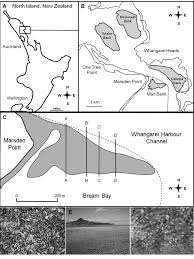 A Location Of The Whangarei Harbour On The Northeast Coast