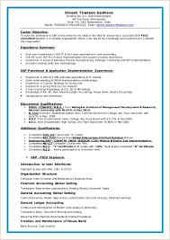 Sap Fico Resume Resume Samples Resume Summary Accountant Resume Accounts Receivable