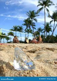 Beach bums and diamond stock photo. Image of enjoy, coconut - 2484070