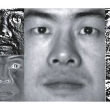 Optimum hyperplane diagram III. EXPERIMENTATION