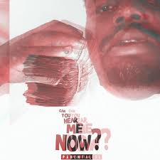 Stream ACE x BEATBOX FREESTYLE by frank gees