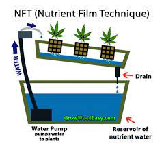 Building An Indoor Nft Hydroponics System With Raspberry Pi Monitoring Francois Maillet Blog