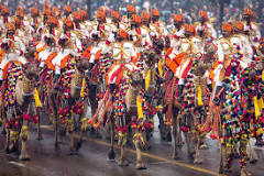 इमेज परिणाम