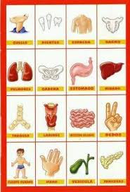 Pin En Preescolar