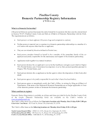 Under florida law, your surrogate may not be a witness to the document naming your health care representative. Https Www Mypinellasclerk Org Portals 0 Forms Dprinformationguide Pdf