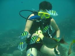 Snorkelling Day Trips To The Phi Phi Islands Coming On Holiday To Phuket And Not Visiting The Phi Phi Islands Would Be Like Krabi Thailand Phi Phi Island Going On Holiday