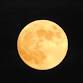 Moonlit WildSpa — Westerlands event image