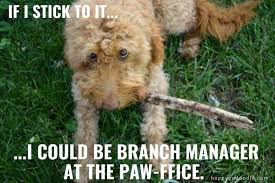 50 Dog Puns The Ultimutt List To Make You Smile Or Grrrroan Happy Go Doodle Dog Puns Dog Words Dog List