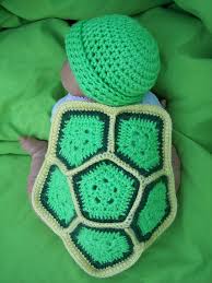 Image result for turtle pictures