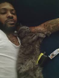 My bengal maine coon mix, my bengal baby not went near it 🤣🤣