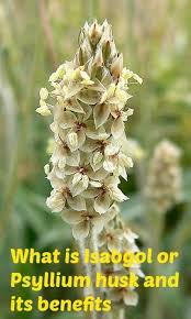Pin On Health Remedies For All